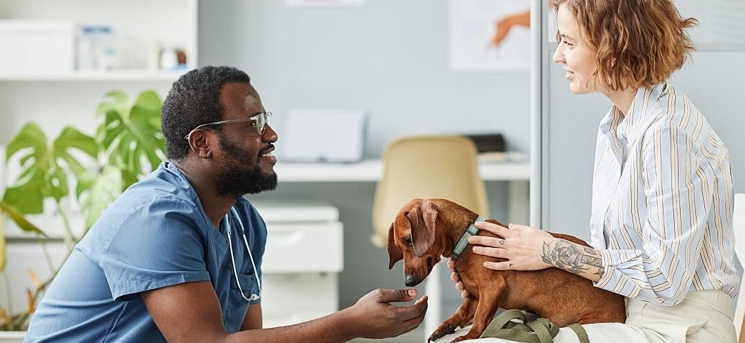 Top 5 Tax Mistakes BC Veterinarians Make Every Year (And How to Fix Them in 2025)