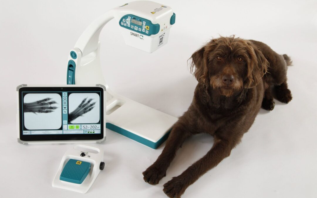 Can Vet Clinics Claim the GST Back on Equipment in BC? A CPA Explains