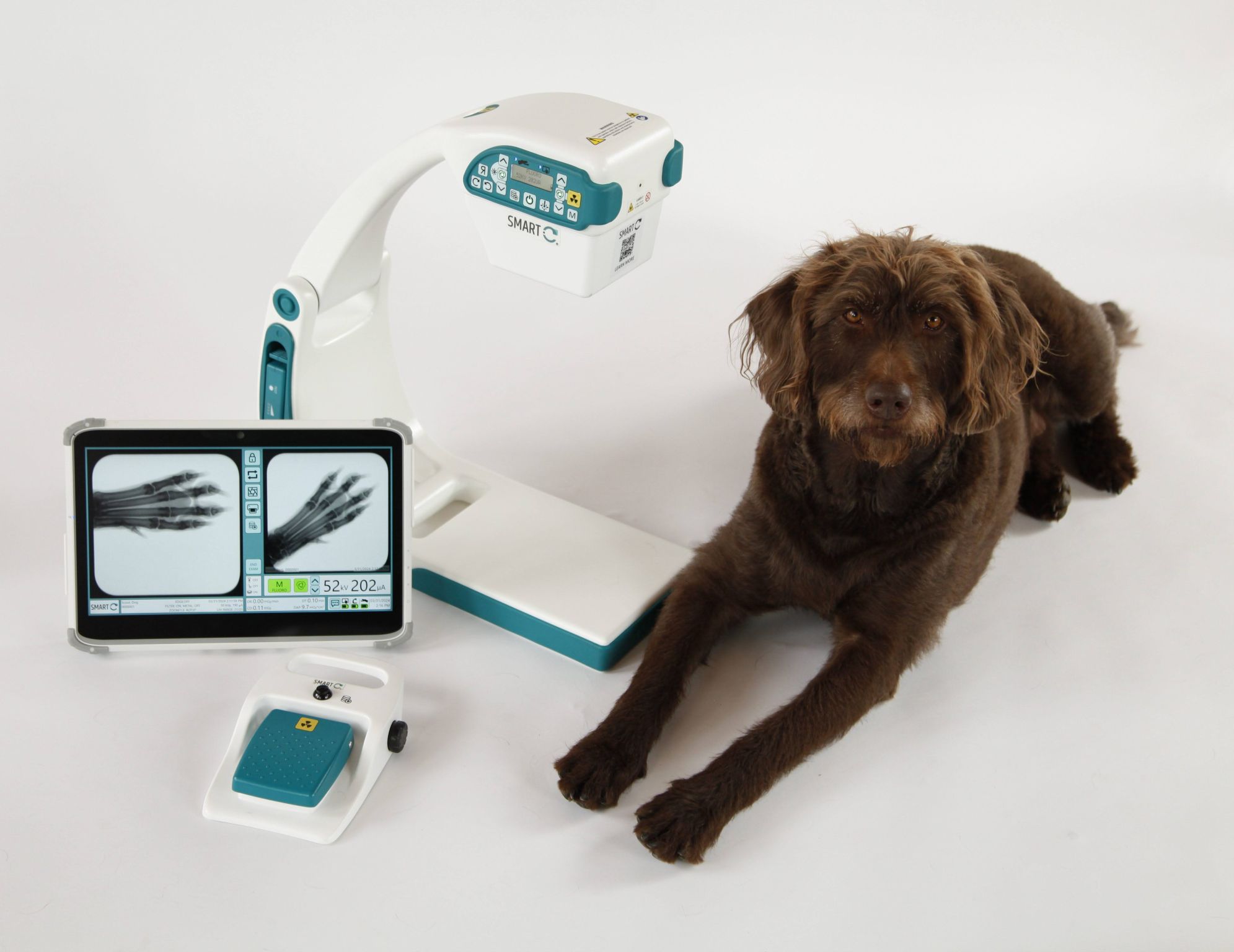 Veterinary technician positioning C-arm in BC clinic