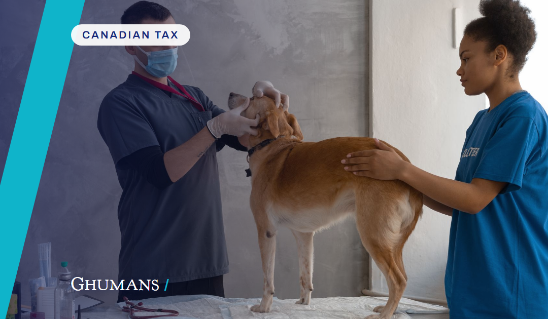Can Vet Clinics Claim the GST Back on Equipment in BC? A CPA Explains