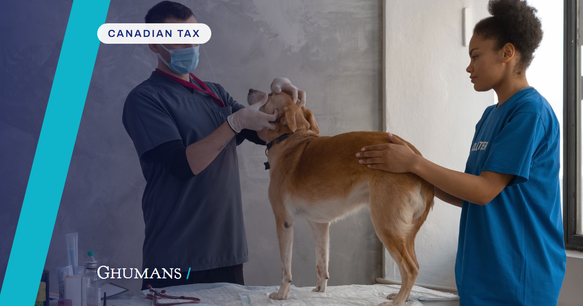 Can Vet Clinics Claim the GST Back on Equipment in BC? A CPA Explains