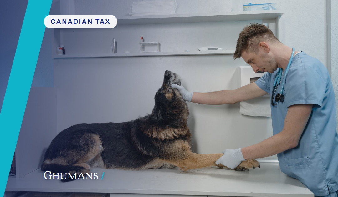 How much tax does incorporating save a veterinarian