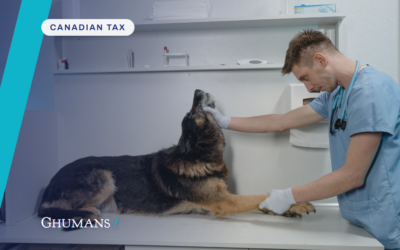 How much tax does incorporating save a veterinarian