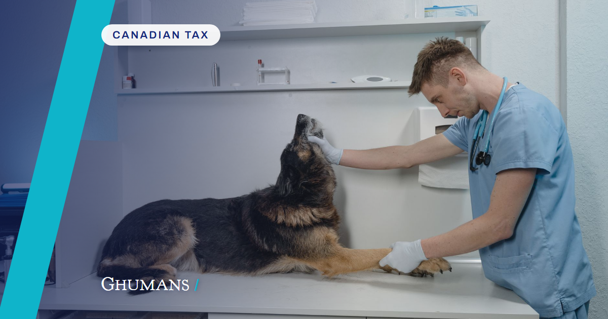 2026-07-25-how-much-tax-does-incorporating-save-a-veterinarian-photo How much tax does incorporating save a veterinarian