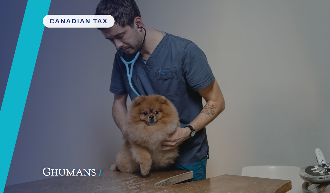 Locum Vets: Employee or Contractor in BC? CRA Rules You Must Know