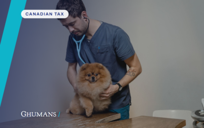 Locum Vets: Employee or Contractor in BC? CRA Rules You Must Know