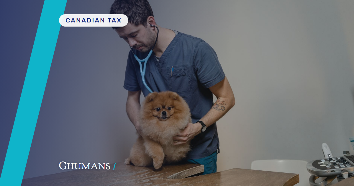 2026-07-25-locum-vet-contractor-bc-cra-rules-photo Locum Vets: Employee or Contractor in BC? CRA Rules You Must Know