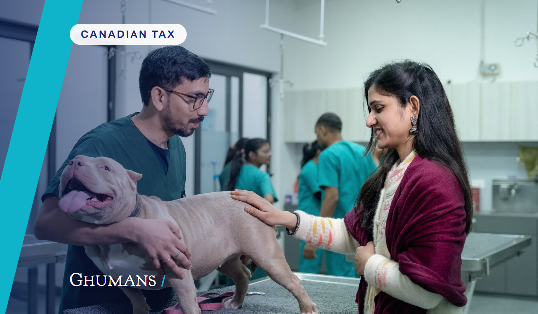 Paying family from a veterinary corporation: what TOSI allows
