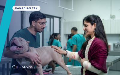 Paying family from a veterinary corporation: what TOSI allows