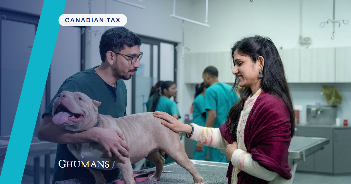 Paying family from a veterinary corporation: what TOSI allows