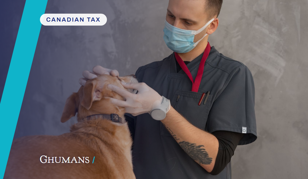 Selling your veterinary practice: using the lifetime capital gains exemption