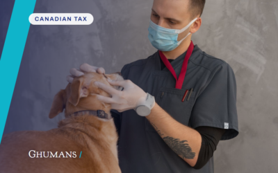 Selling your veterinary practice: using the lifetime capital gains exemption