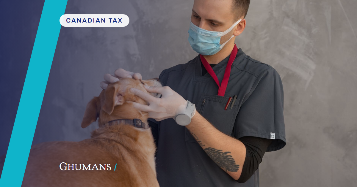2026-07-25-selling-your-veterinary-practice-capital-gains-exemption-photo Selling your veterinary practice: using the lifetime capital gains exemption