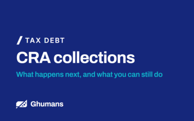 CRA Collections: What Happens Next, and What You Can Still Do