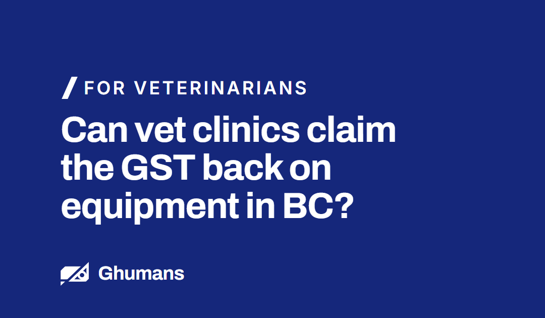 Can Vet Clinics Claim the GST Back on Equipment in BC? A CPA Explains