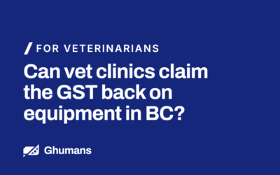 Can Vet Clinics Claim the GST Back on Equipment in BC? A CPA Explains