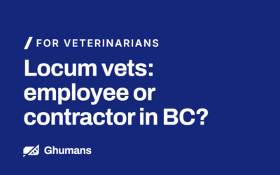 Locum Vets: Employee or Contractor in BC? CRA Rules You Must Know