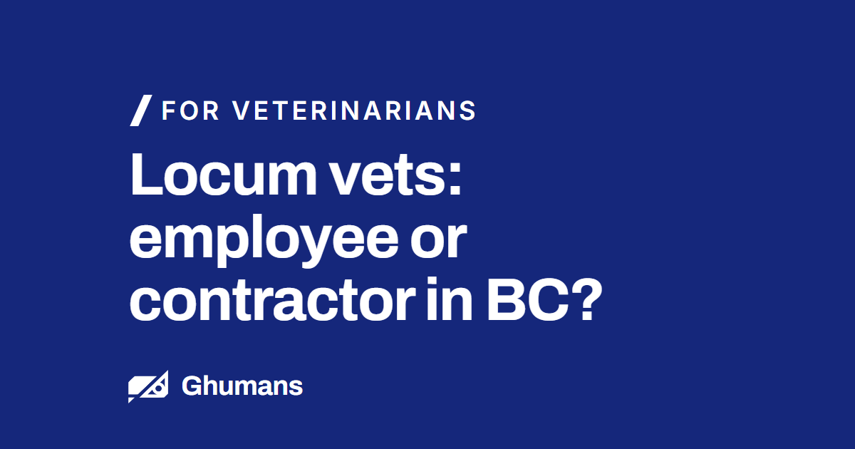 Blog featured image: Locum vets: employee or contractor in BC? Locum vets: employee or contractor in BC?